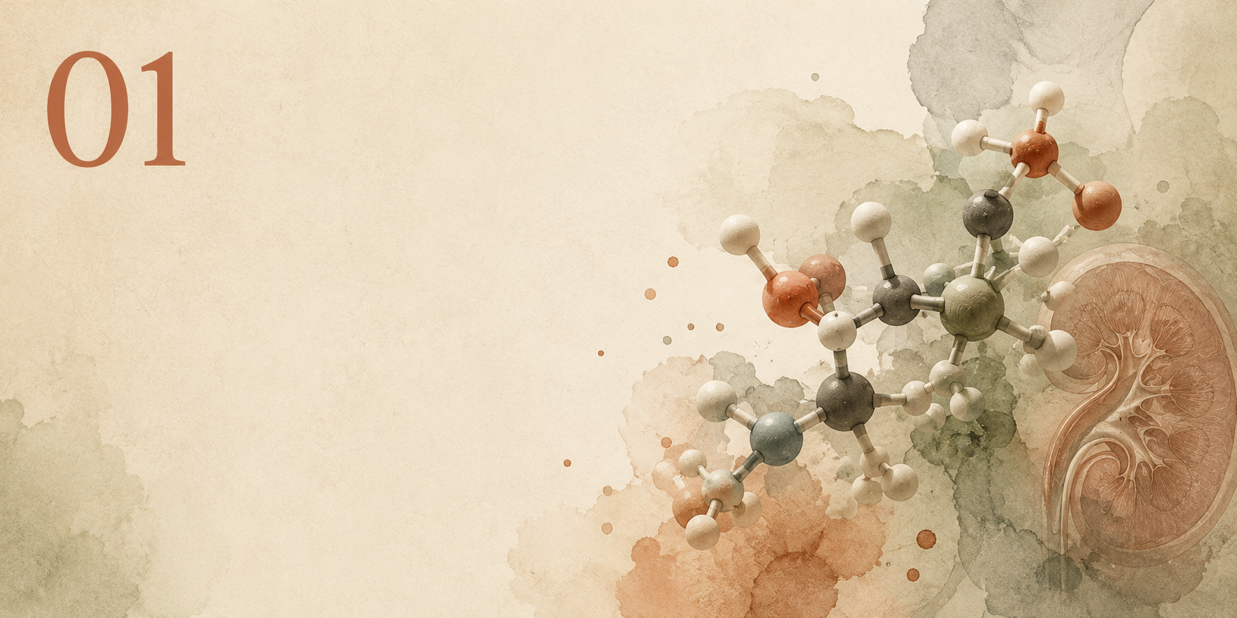 Carbamylation and CKD biomarkers